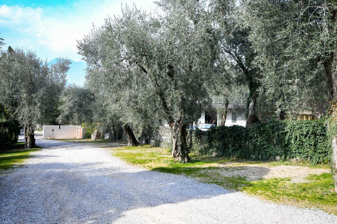 Residence Kormorano Malcesine Lake View Exteriör bild